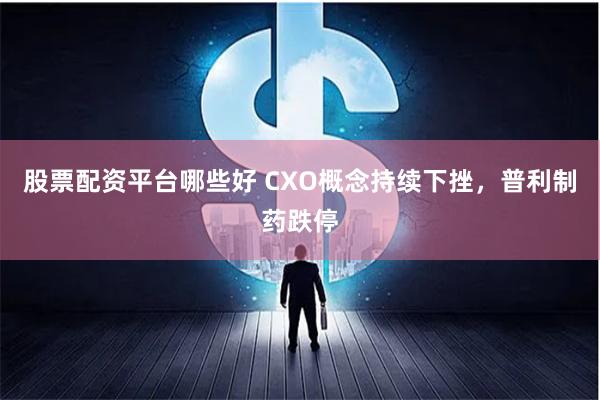 股票配资平台哪些好 CXO概念持续下挫，普利制药跌停