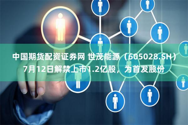 中国期货配资证券网 世茂能源(605028.SH)7月12日解禁上市1.2亿股,为首发股份
